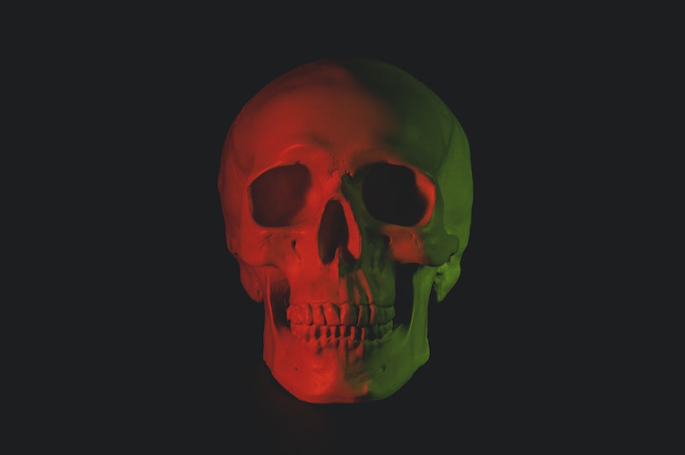 Skull pictures download free images on