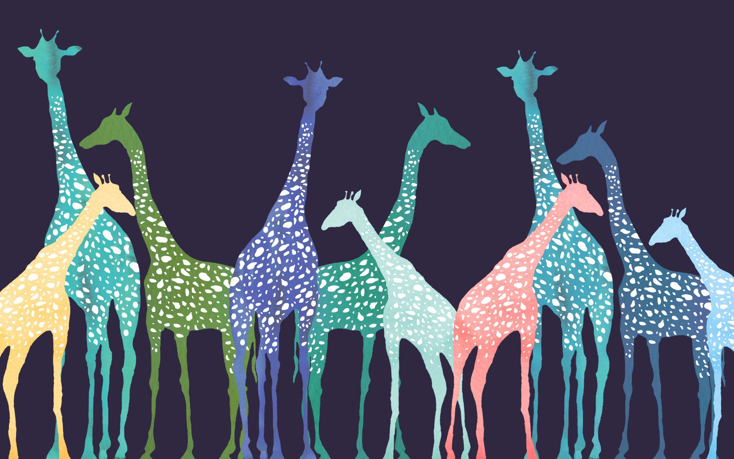 Giraffe desktop wallpapers