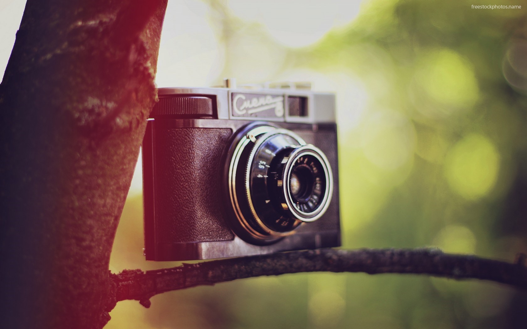 Free download download stock photos of cute camera for wallpaper images photography x for your desktop mobile tablet explore cute camera wallpaper cute background cute wallpaper background cute