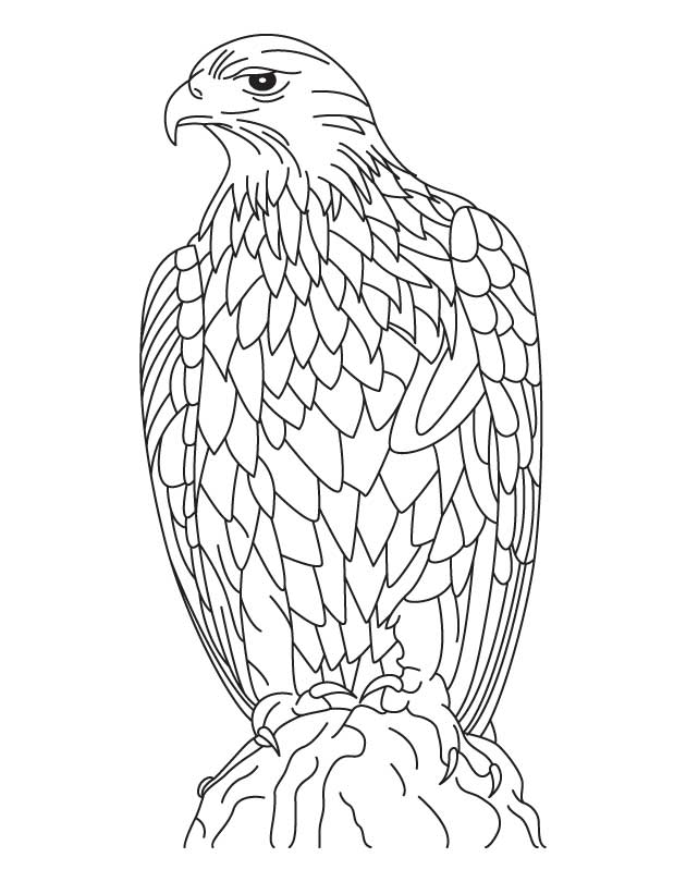 Silent golden eagle coloring page download free silent golden eagle coloring page for kids best coloring pages