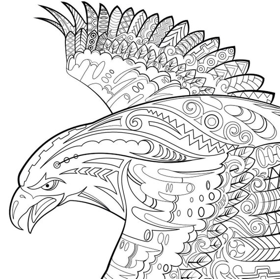 Golden eagle colouring sheet download