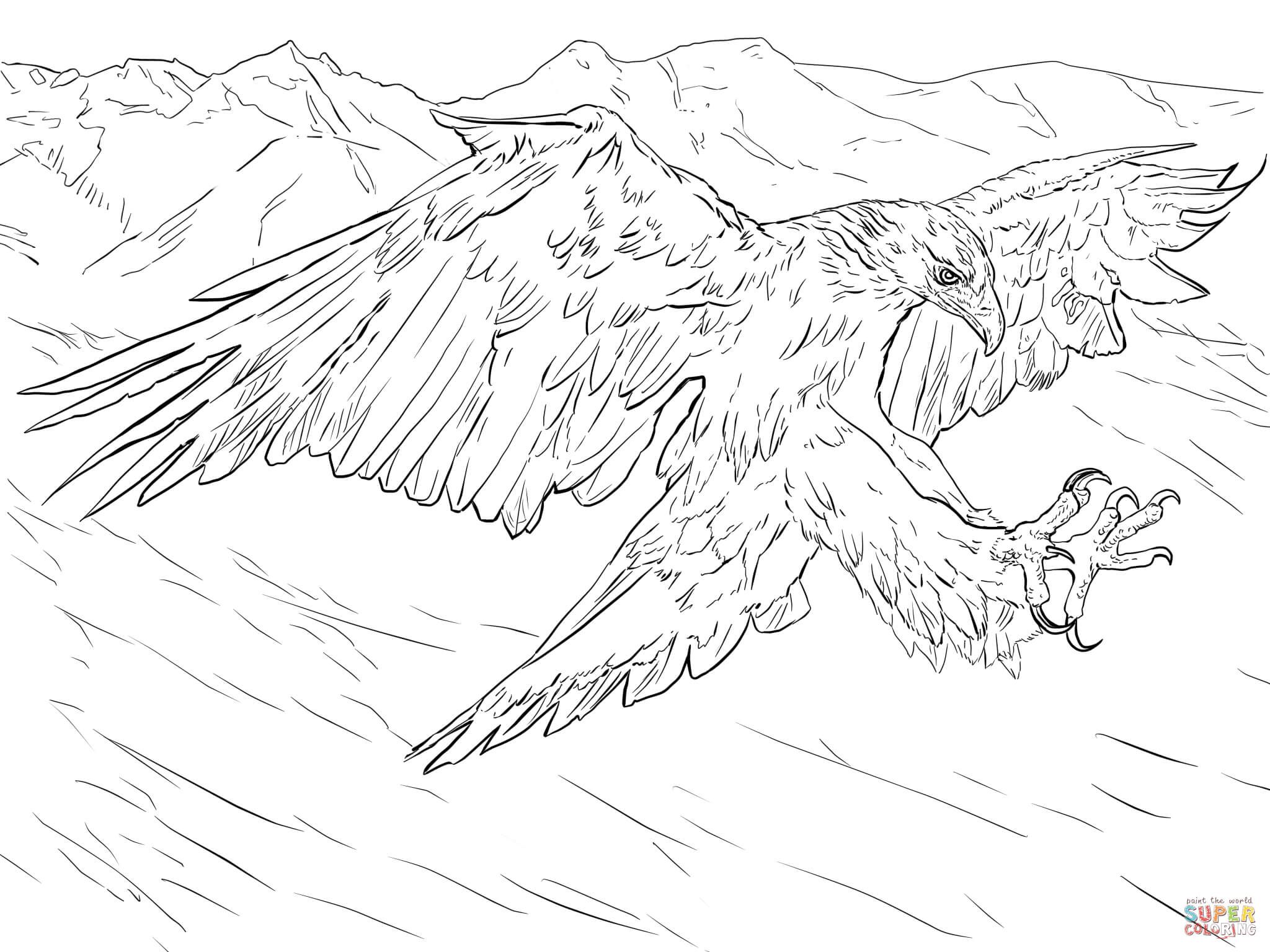 Golden eagle attacks coloring page free printable coloring pages printable coloring pages free printable coloring pages free printable coloring