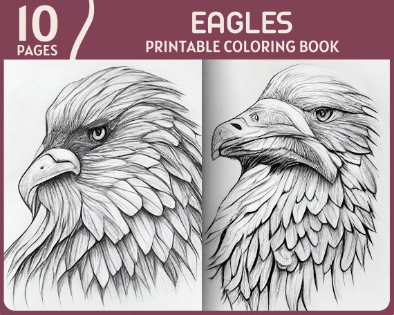 Eagles coloring pages eagle head illustrations printable coloring book digital animal coloring page