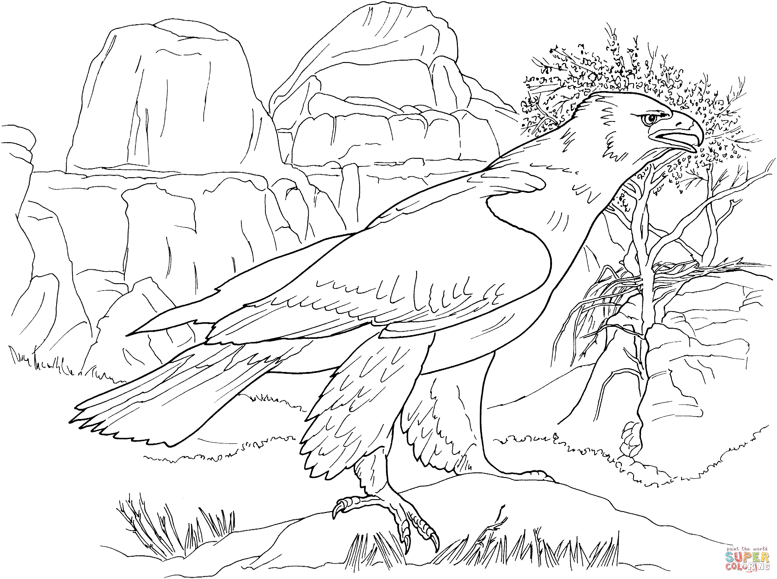 Image result for golden eagle coloring sheet desert animals coloring coloring pages animal coloring pages