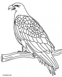 Golden eagle coloring page coloring pages bird coloring pages coloring pictures for kids