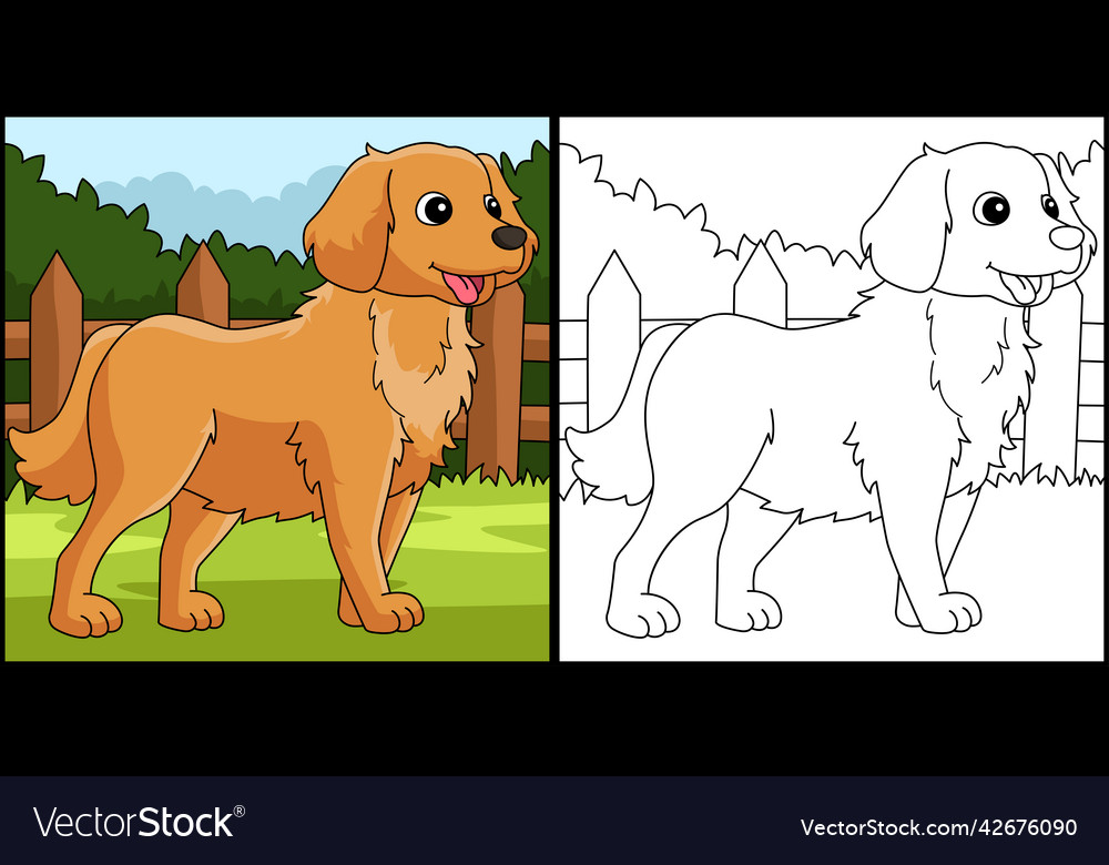 Golden retriever dog coloring page royalty free vector image