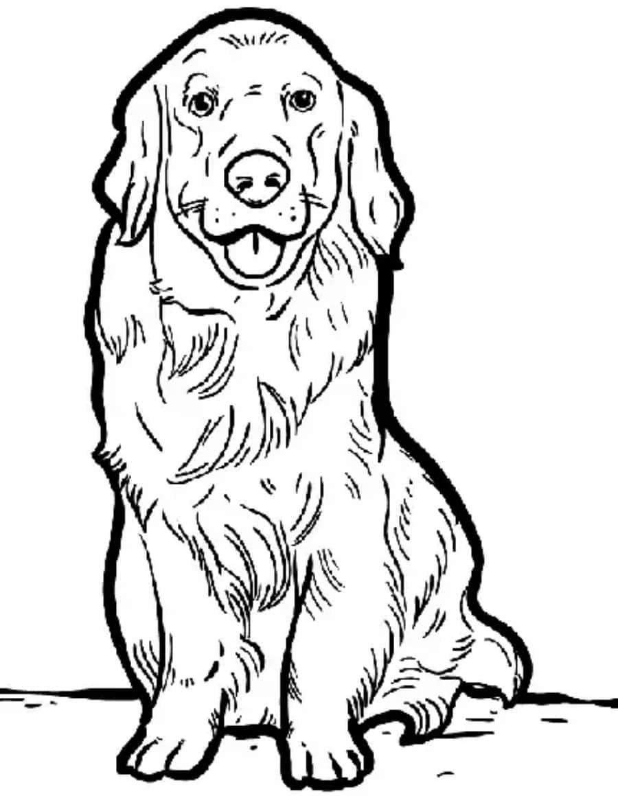 Download golden retriever dog coloring page picture
