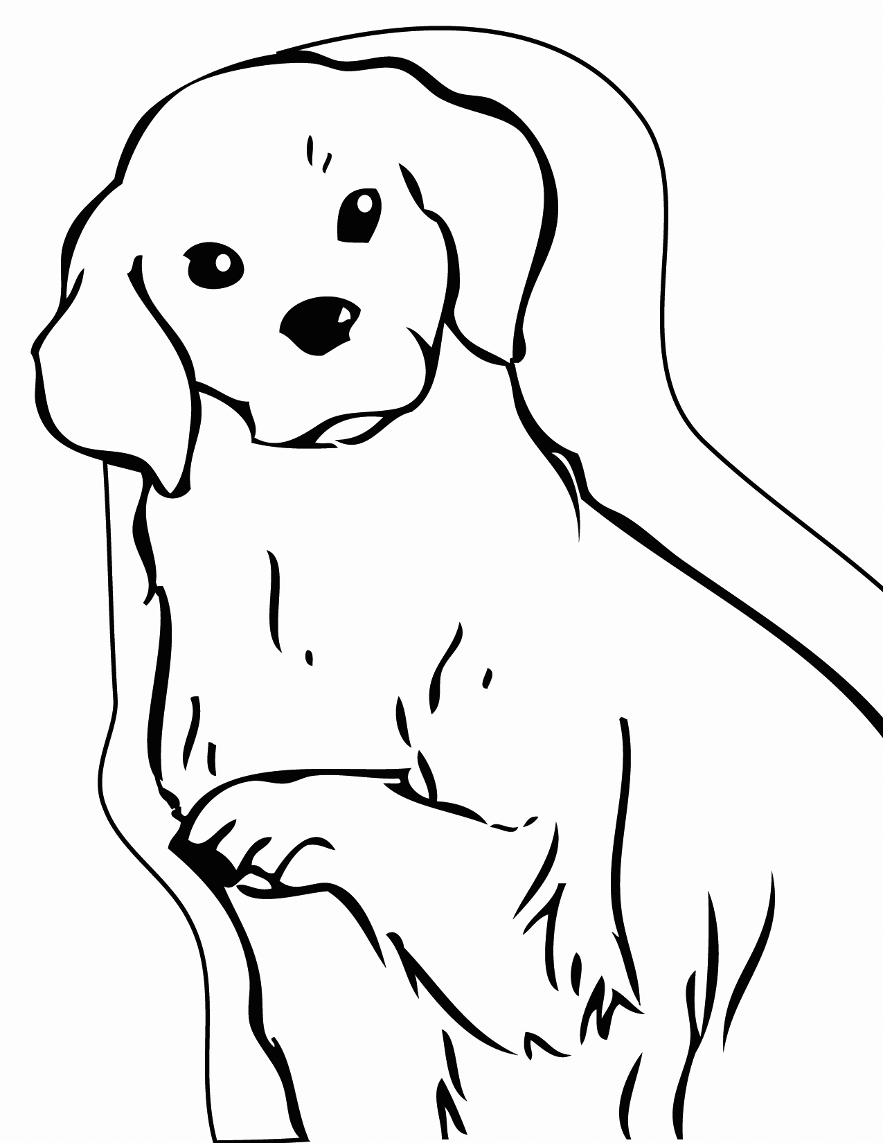 Golden retriever coloring pages