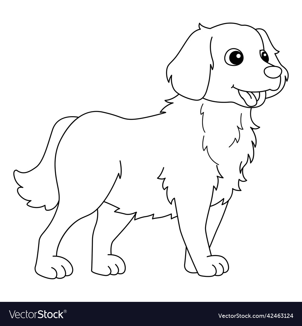 Golden retriever dog coloring page for kids vector image