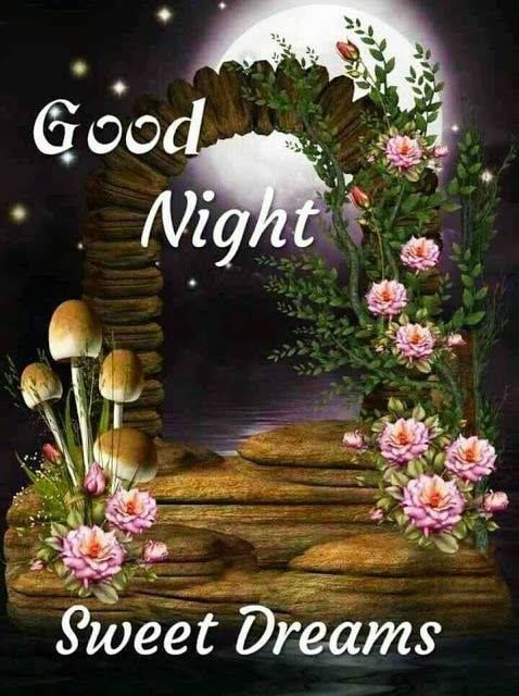 Full moon good night sweet dreams good night flowers good night beautiful good night sweet dreams