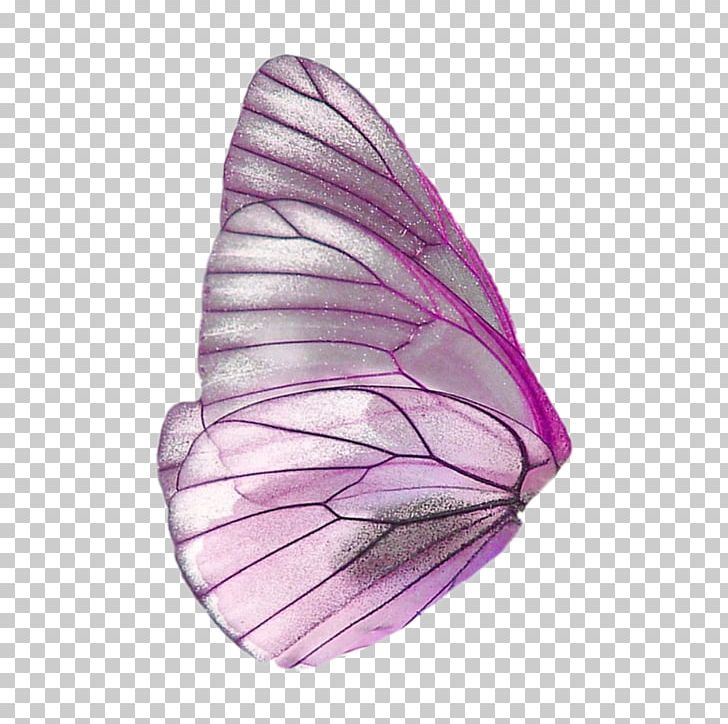 Butterfly portable network graphics fairy wings png clipart butterfly butterfly wings puter icons desktop wallpaper fairy