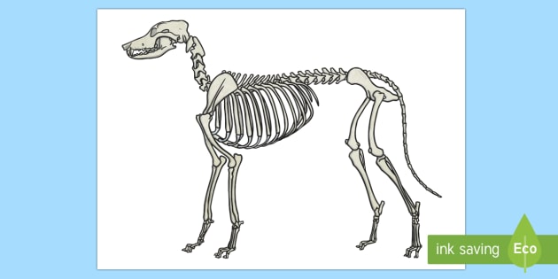 Dog skeleton cut