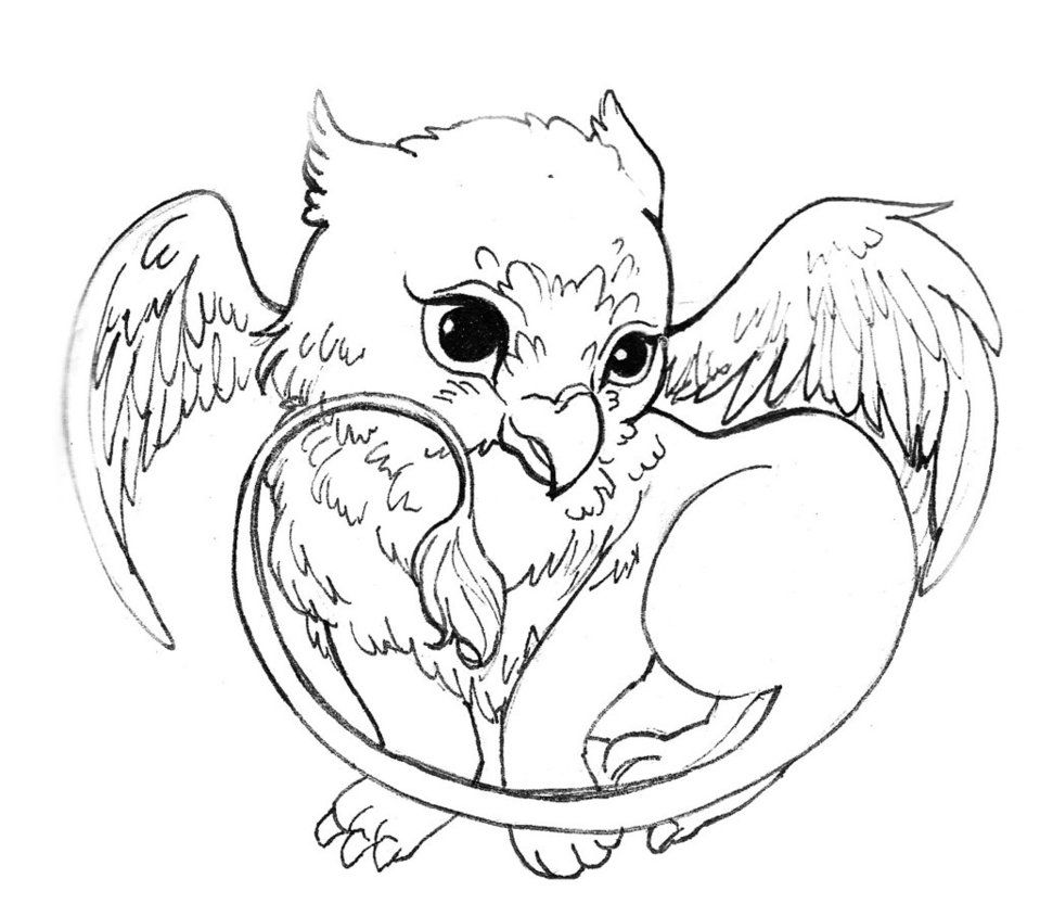 Cute griffin by acorna dragon coloring page cute coloring pages animal coloring pages