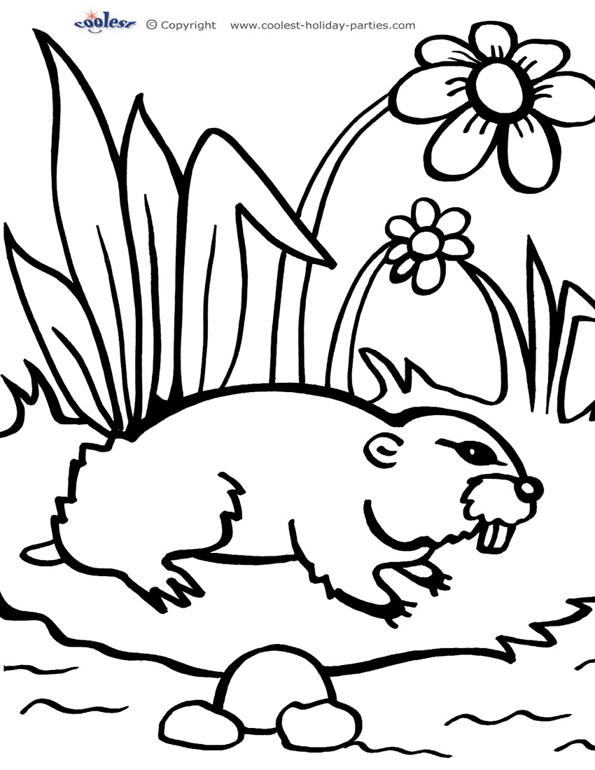Printable groundhog coloring page