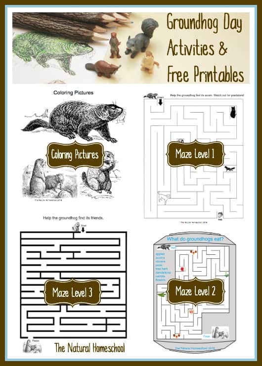 Groundhog day activities free printables