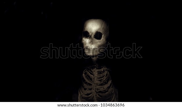 Horror wallpaper scary skeleton halloween grunge stock illustration