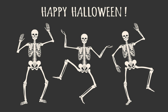 Skeleton halloween images â browse photos vectors and video