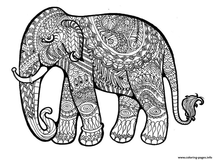 Print elephant plex for adults print out hard coloring pages elephant coloring page abstract coloring pages elephant drawing