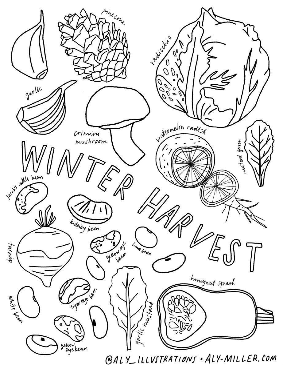 Winter harvest coloring sheet â aly miller designs