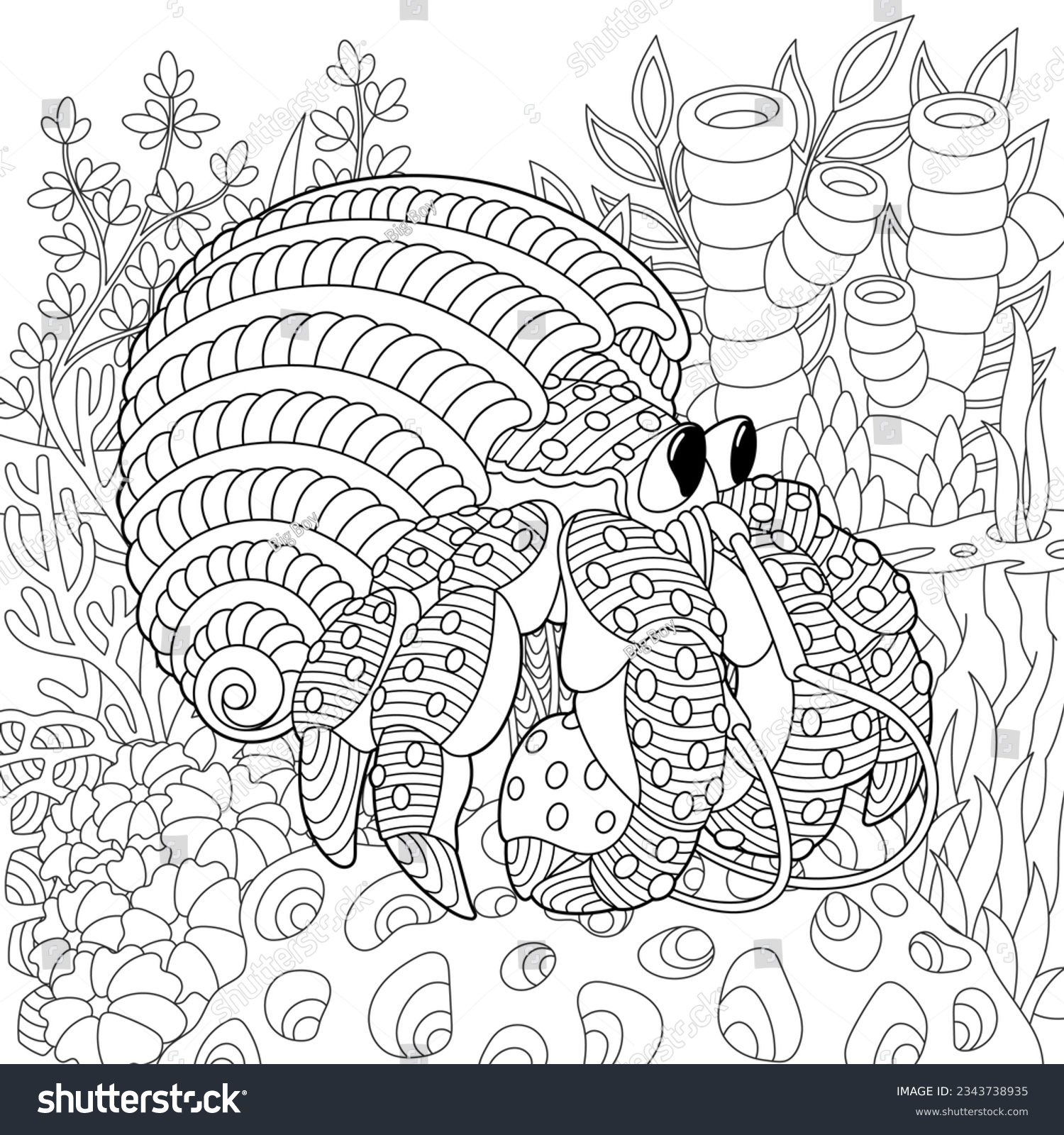 Hermit crab coloring page underwater colouring stock vector royalty free