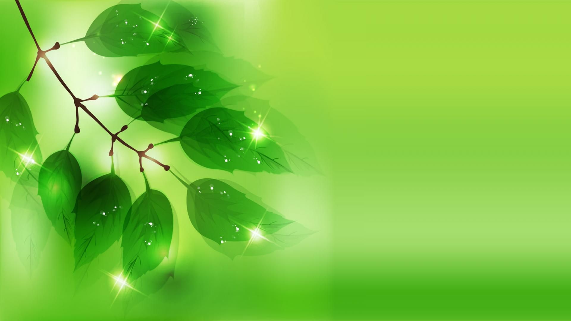 Green hd wallpapers download free