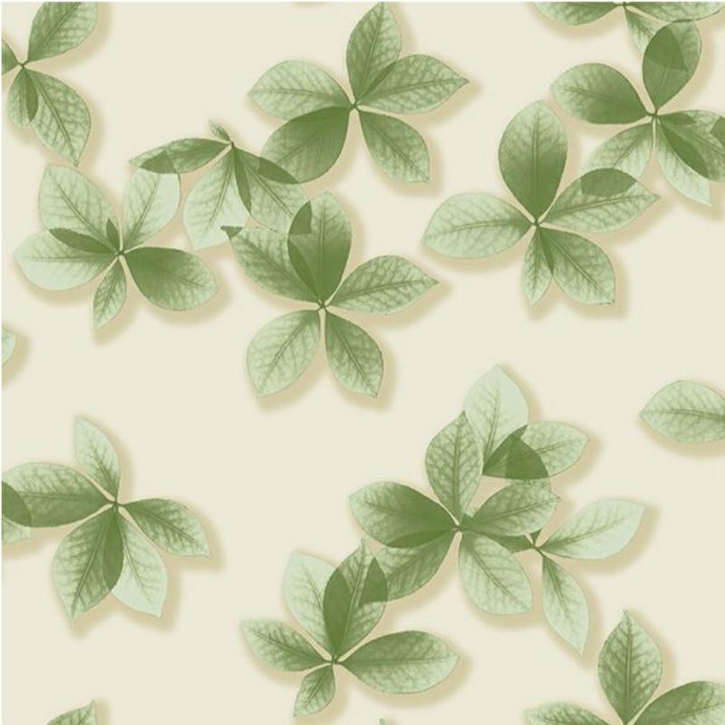 Jual wallpaper dinding vinyl serat timbul termurah daun hijau sr indonesia