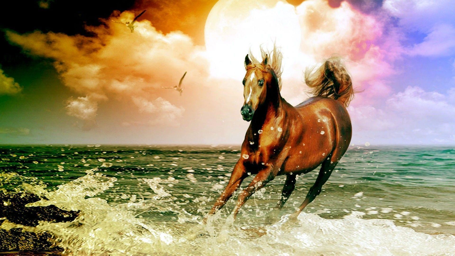 Horse desktop wallpaper pictures