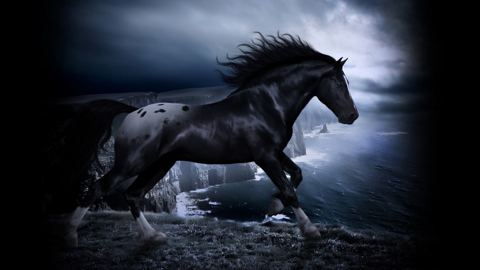 Horse pictures for desktop background