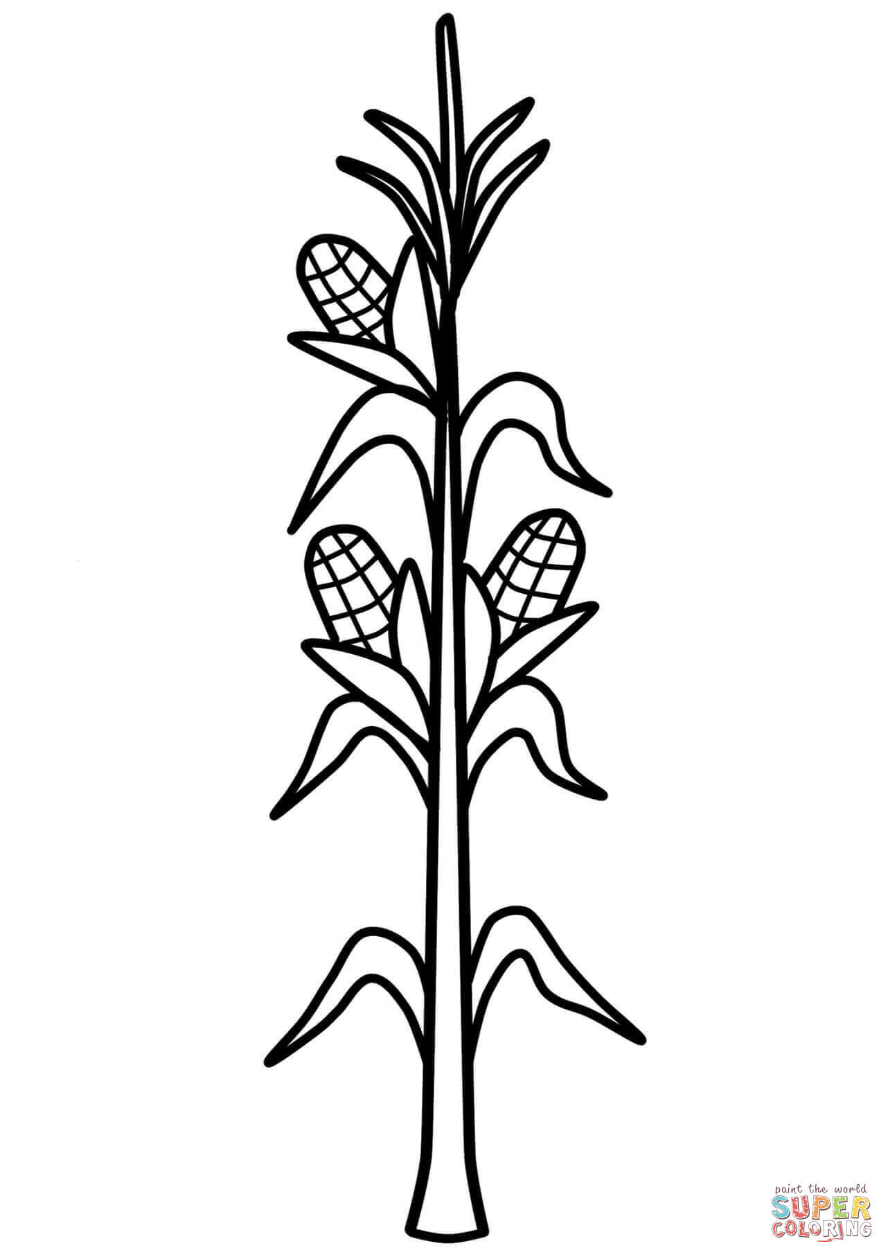 Corn stalk coloring page free printable coloring pages