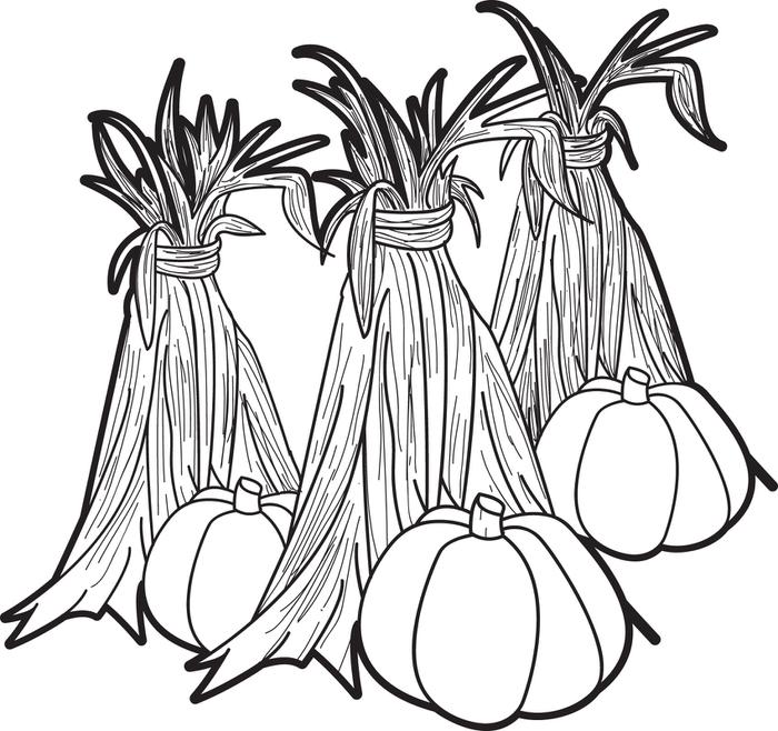 Free corn stalk coloring page download free corn stalk coloring page png images free cliparts on clipart library
