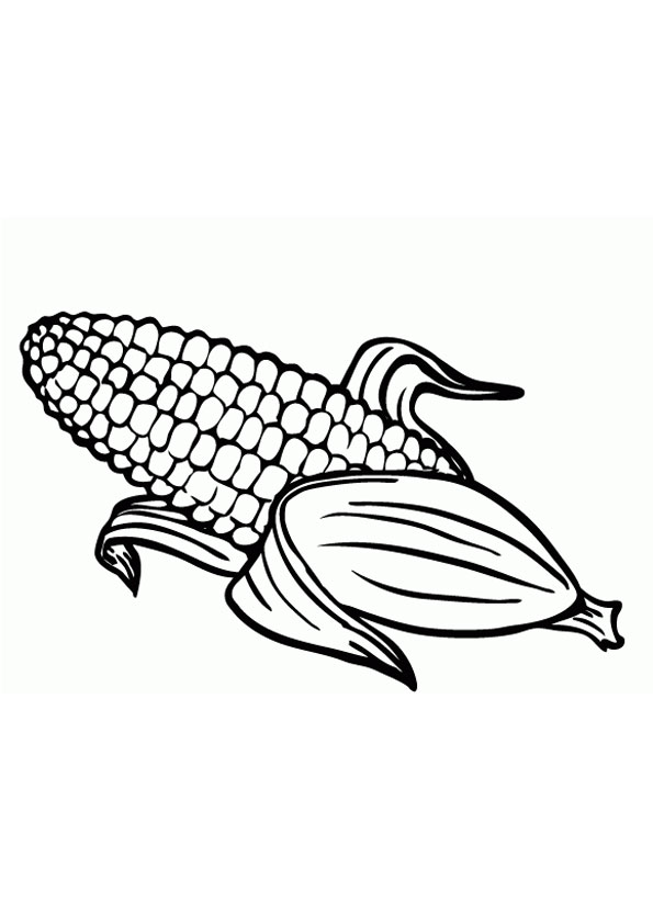 Coloring pages corn stalk coloring page