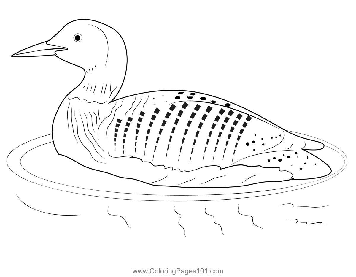 Loon coloring page for kids
