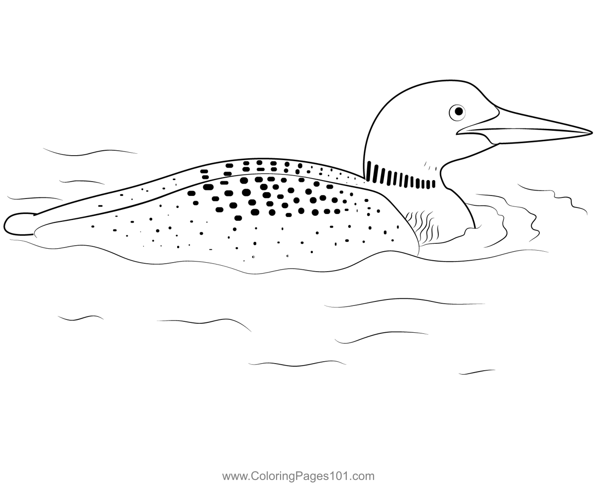 Beautiful loon bird coloring page for kids