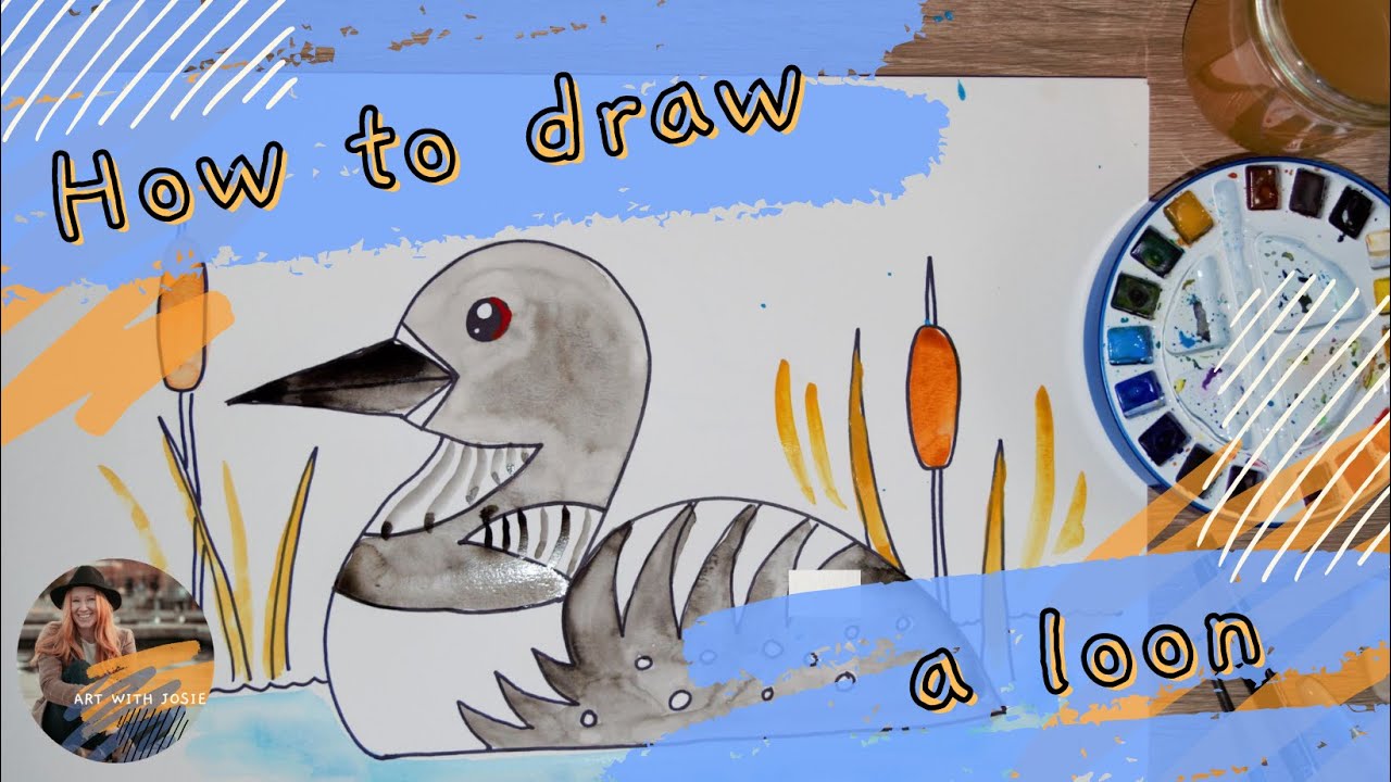 How to draw a loon directed drawing for kids