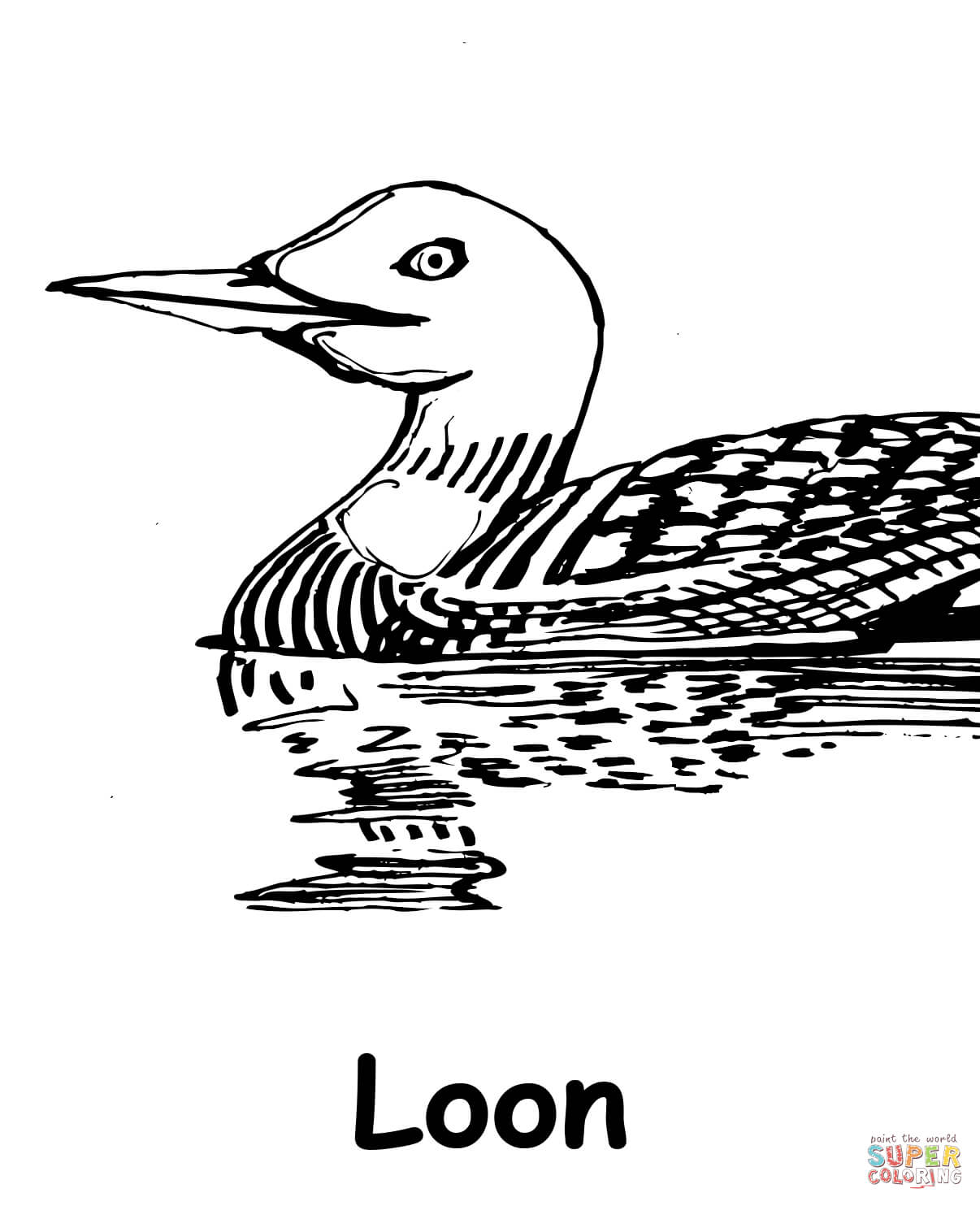 Loon coloring page free printable coloring pages