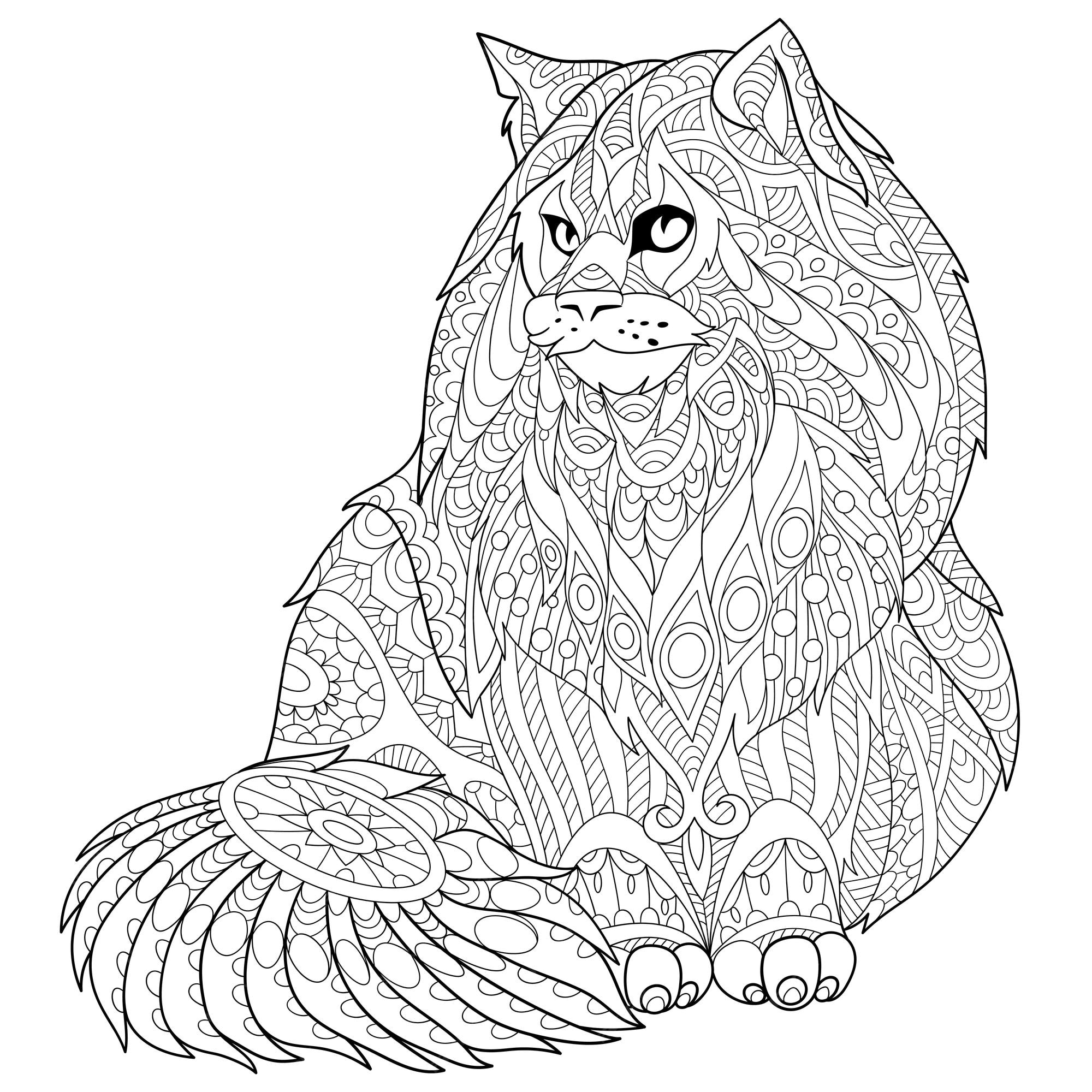 Premium vector maine coon cat zentangle colouring illustration line art design for adult coloring book page