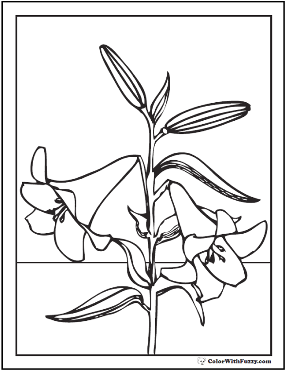 Lily coloring pages â fun interactive notebook pdf printables