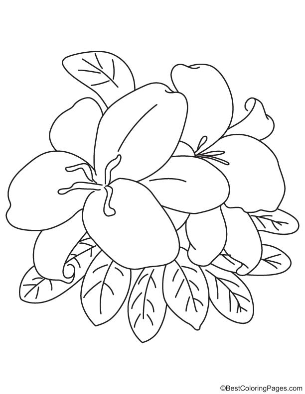 Easter lily coloring page download free easter lily coloring page for kids best coloring pages