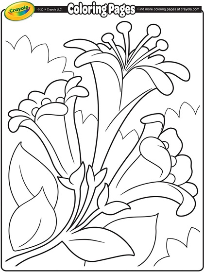 Easter lilies ii coloring page
