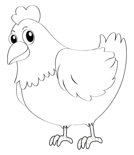 Coloring pages chicken images