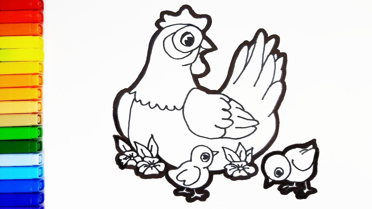 Learn how to draw hen with chicken easy simple chick drawing ideas and coloring pages for kids