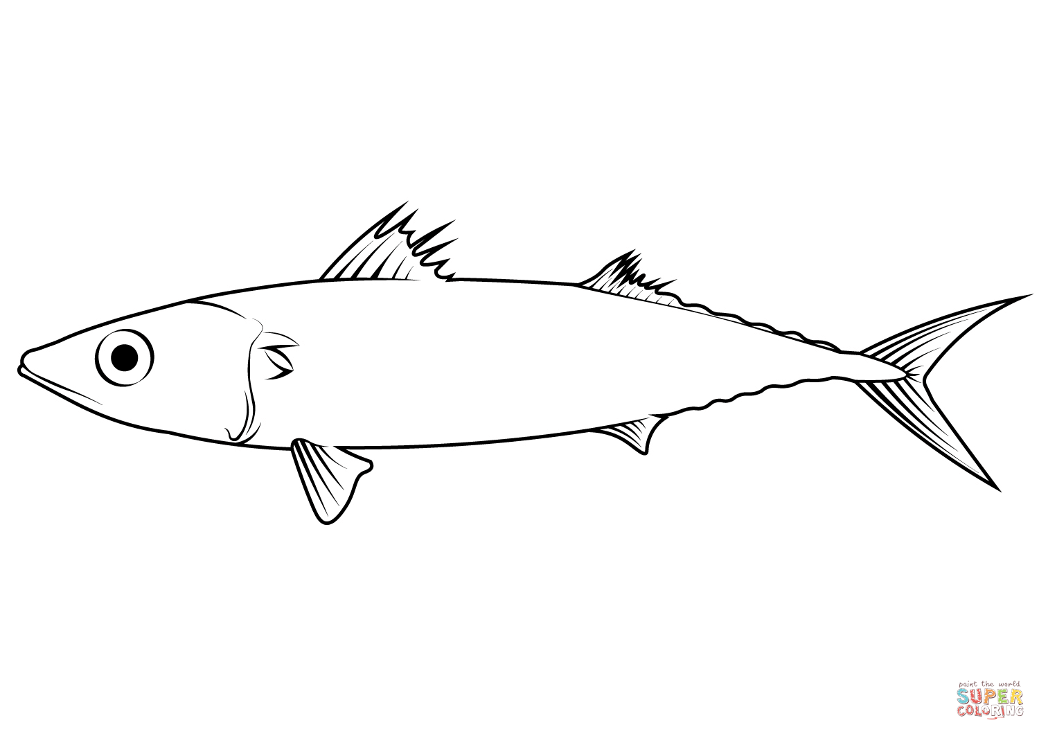 Pacific chub mackerel sber japonicus coloring page free printable coloring pages