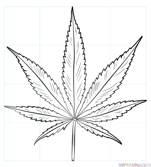 How to draw a pot leaf step by step drawing tutorials
