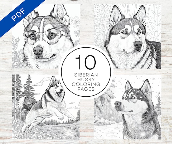 Siberian husky dogs coloring pages a printable pdf dog coloring sheets for teens adults stress relief and relaxation