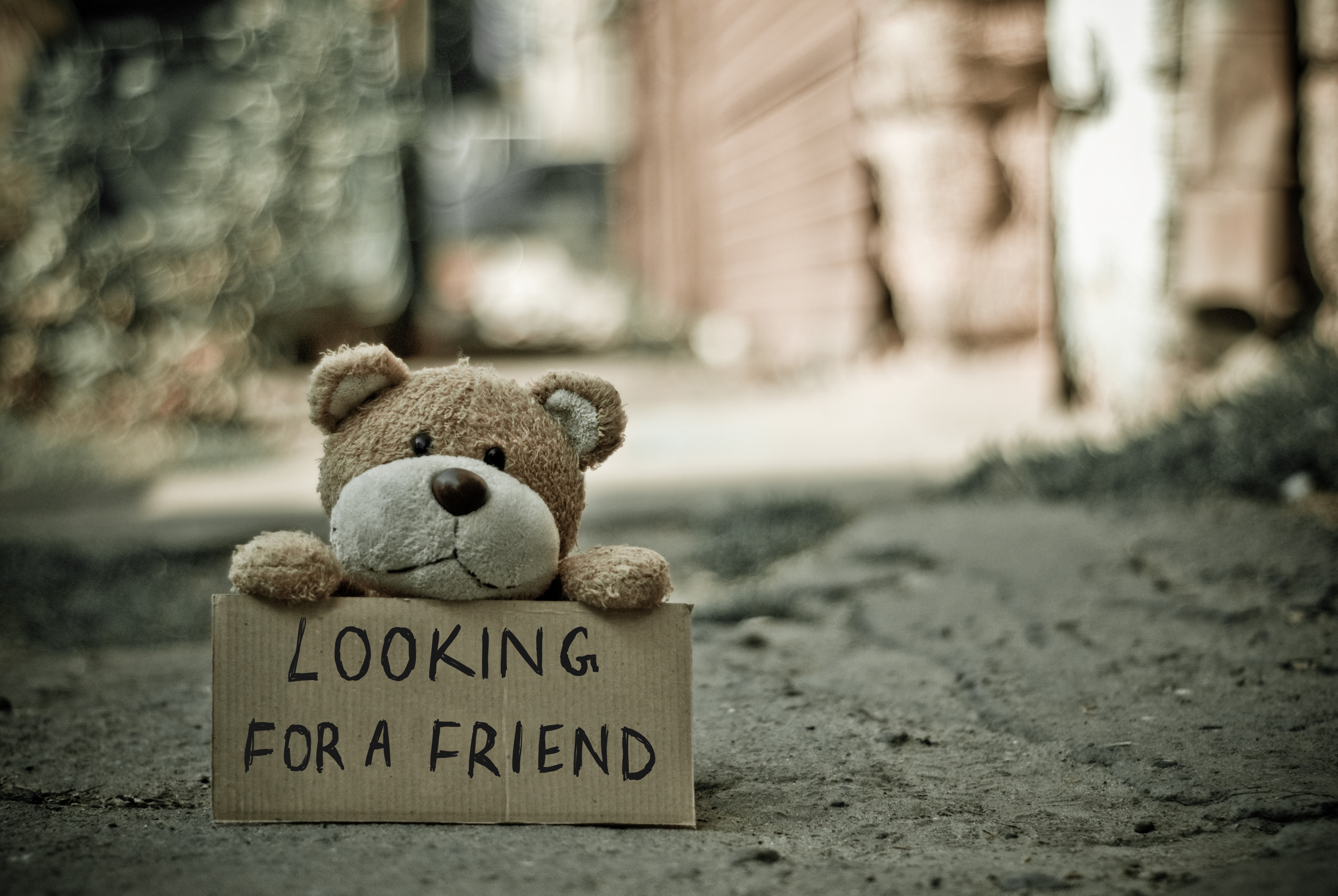 Lonely photos download the best free lonely stock photos hd images