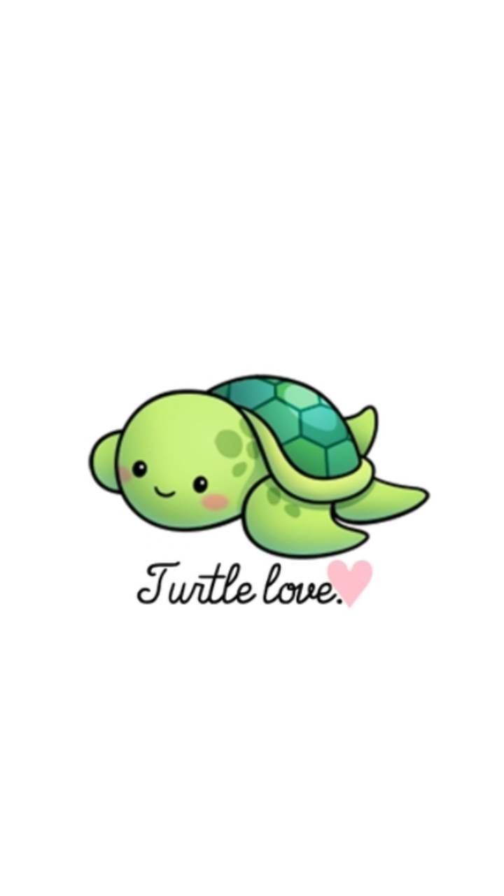Turtle love wallpaper by lovelynature