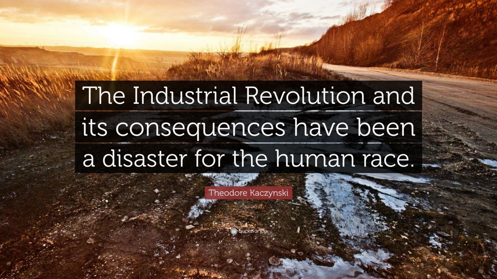 Theodore kaczynski quote âthe industrial revolution and its consequences have been a disaster for the human raceâ