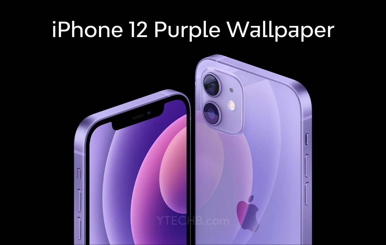 Download iphone purple wallpaper k resolution official