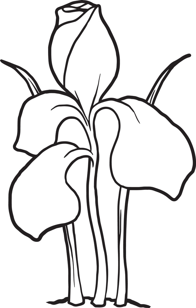 Printable iris flower coloring page for kids â
