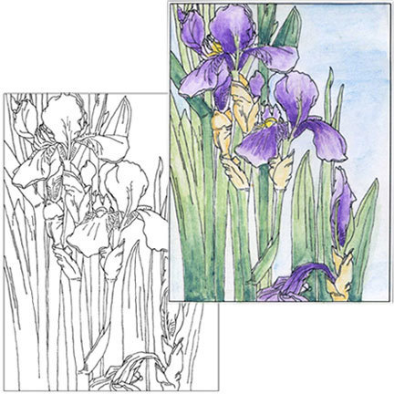 Iris coloring page â ten two studios â products classes from artist lisa vollrath